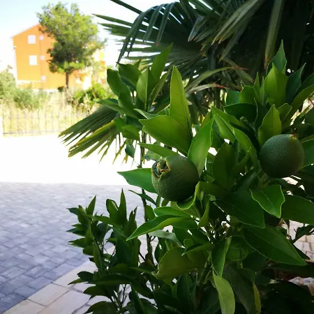 Kovacicek 2 Apartman Biograd Na Moru